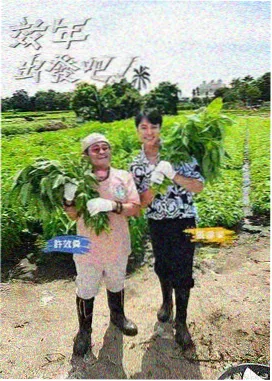 资讯配图 更新花期日历调整说明